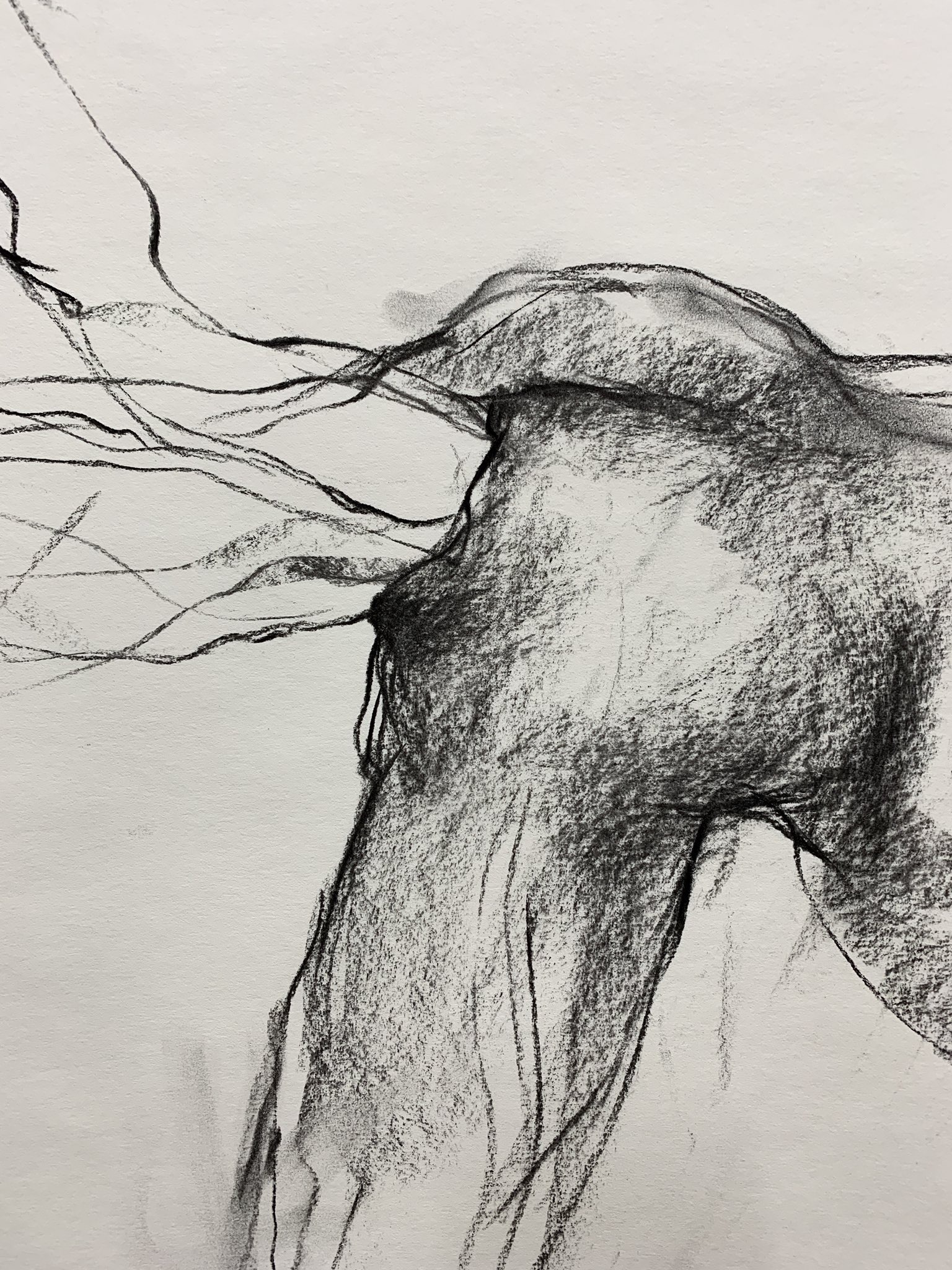 @metamorffosi