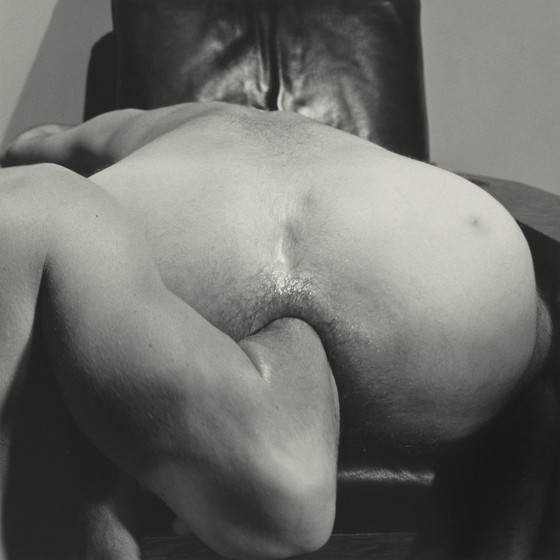 R_Mapplethorpe_Helmut_and_0Brooks_(Fist_Fuck_